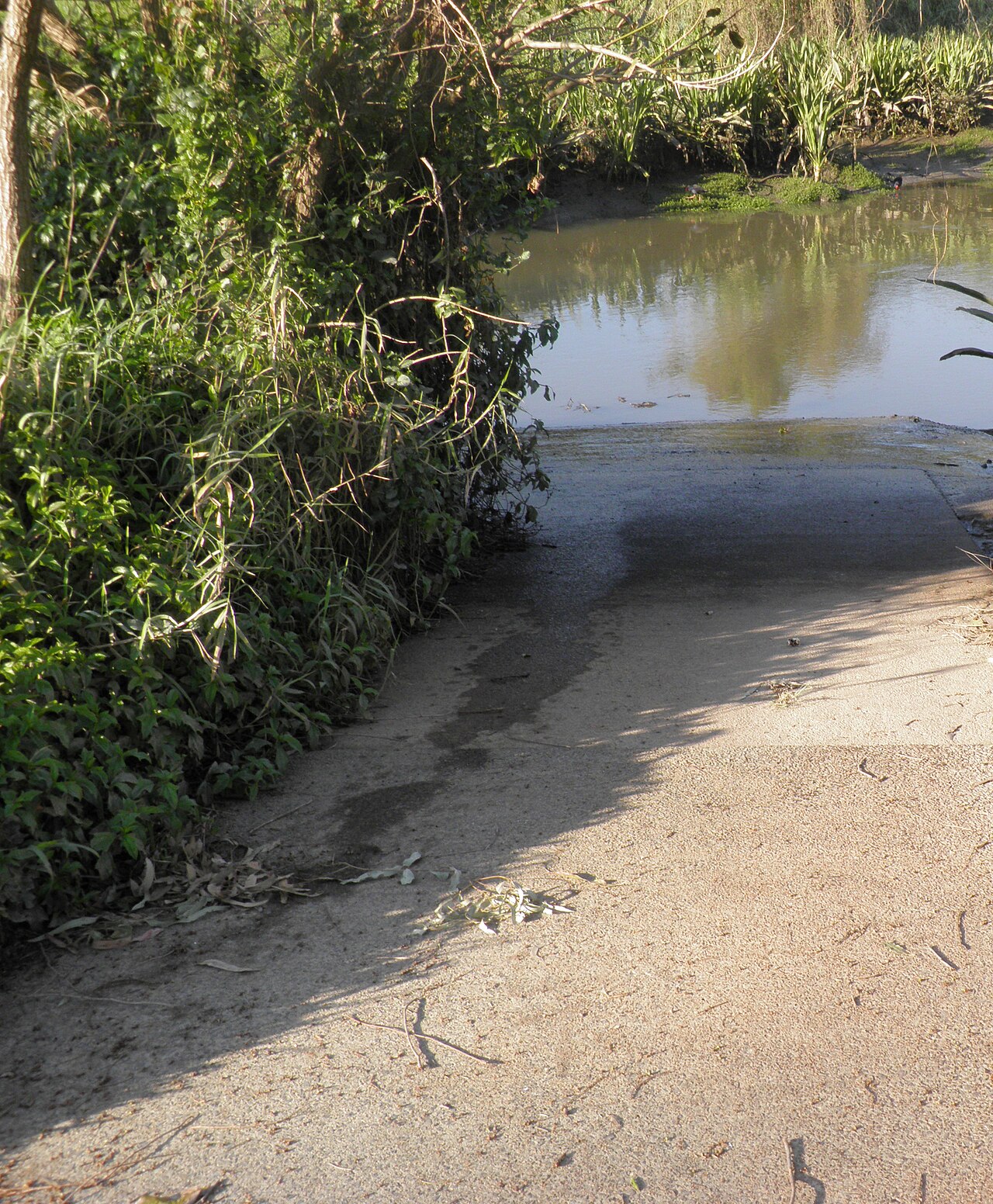 Minnippi Parkland