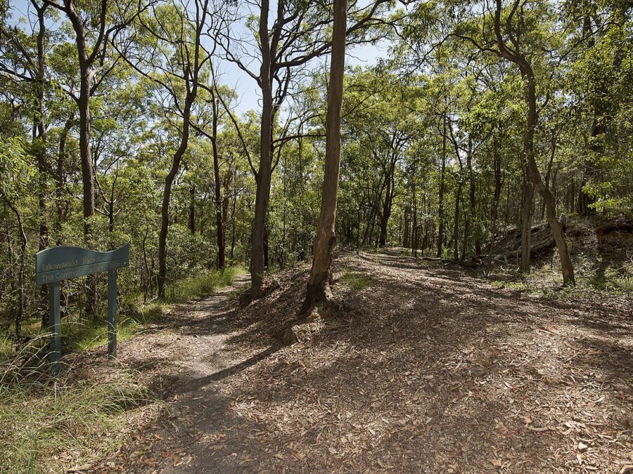 Whites Hill Reserve