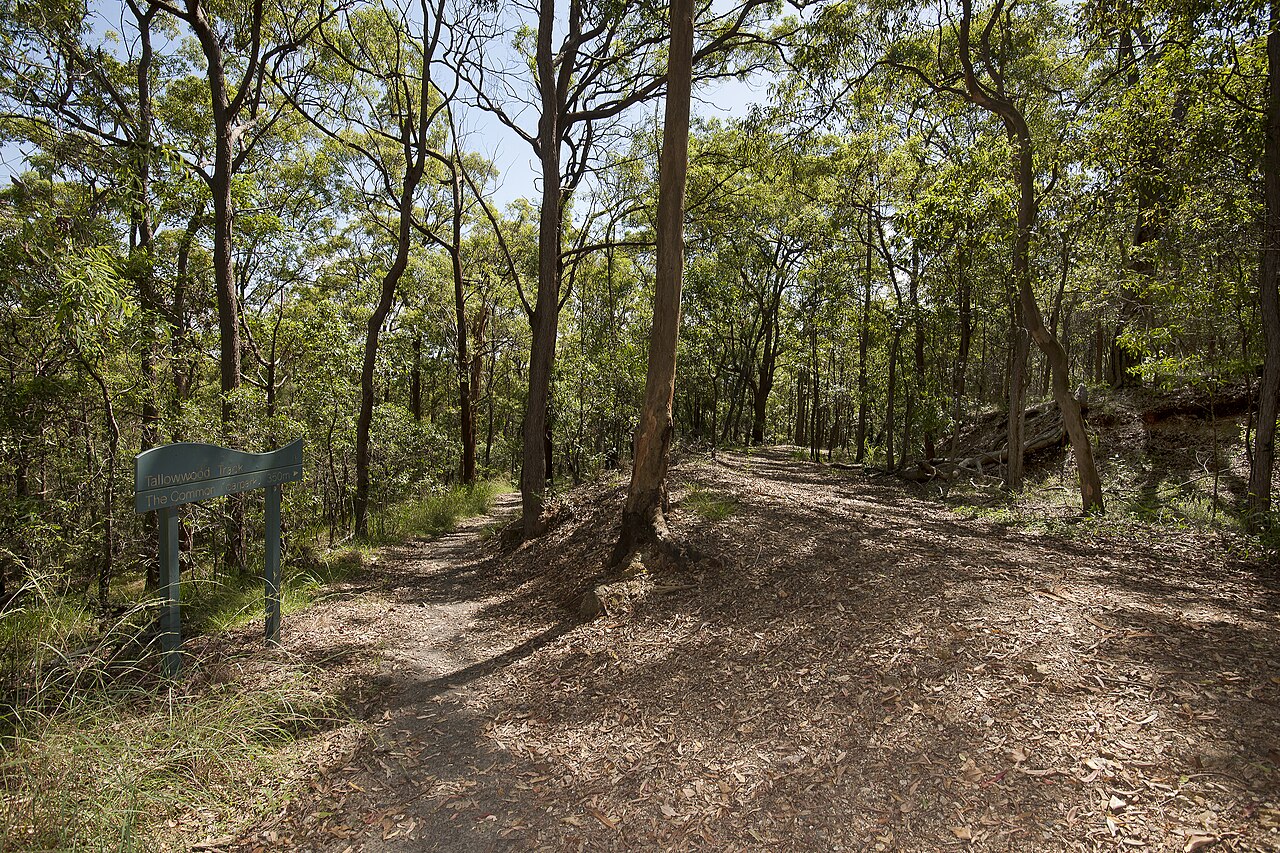 Whites Hill Reserve